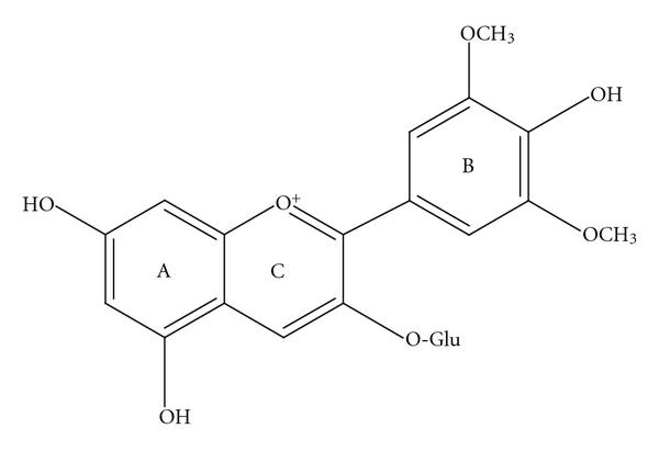 Malvidina-3-glucoside